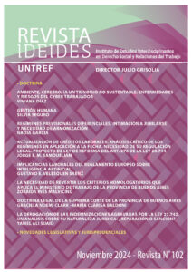 Revista IDEIDES Nº 102. Noviembre 2024